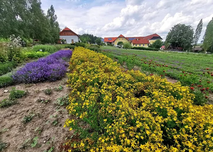 Biberhof Im Muehlviertel