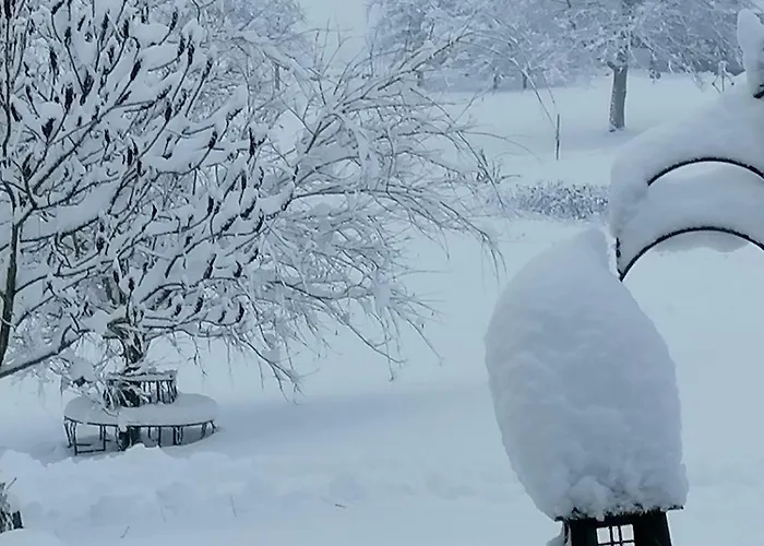 Biberhof Im Muehlviertel شقة