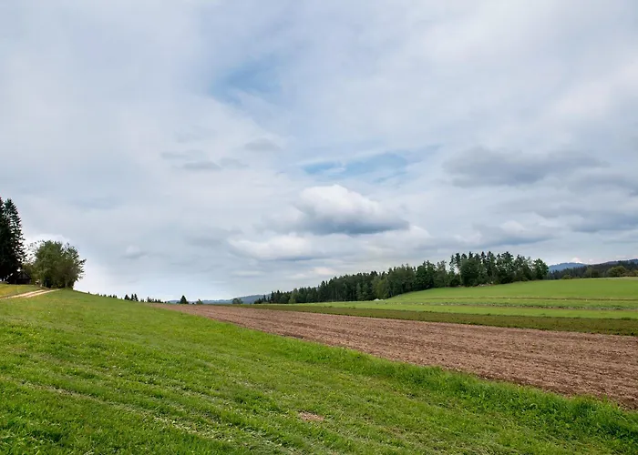 Biberhof Im Muehlviertel شقة